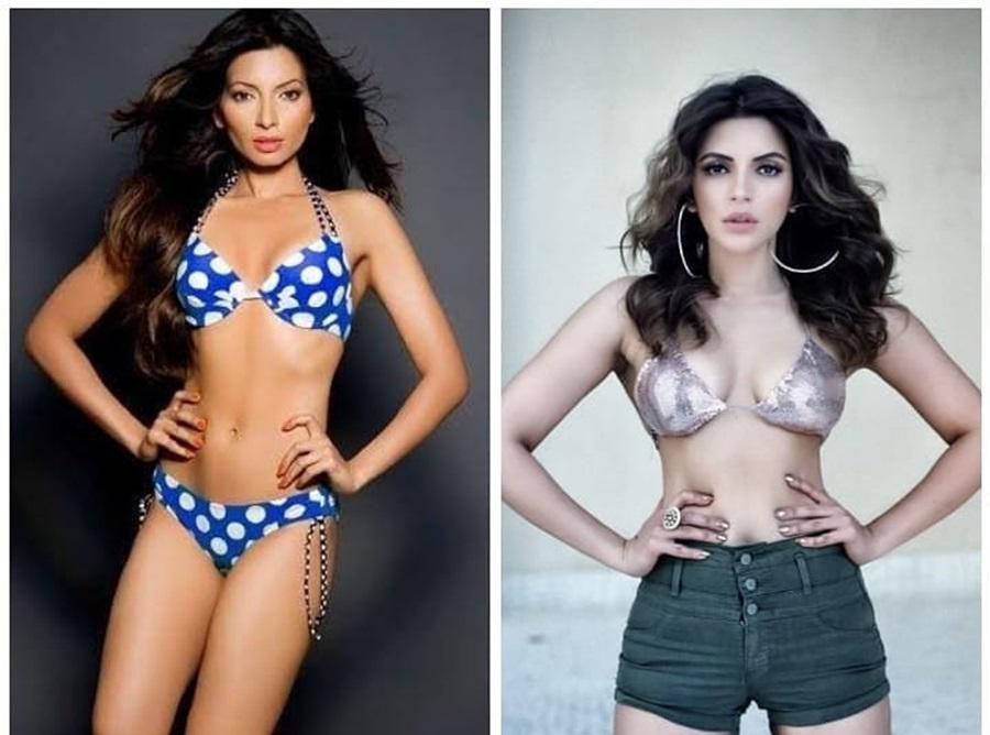 Shama Sikander  Height, Weight, Age, Stats, Wiki and More